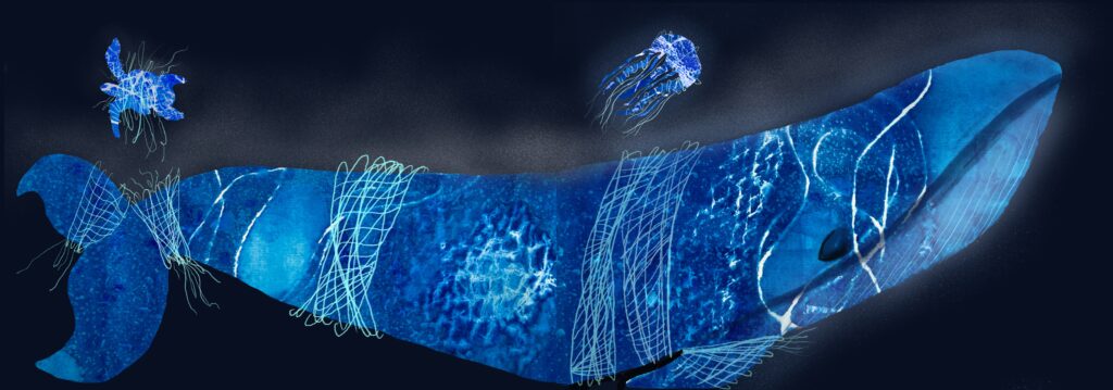Illustration cyanotype whale tangled in fishing nets